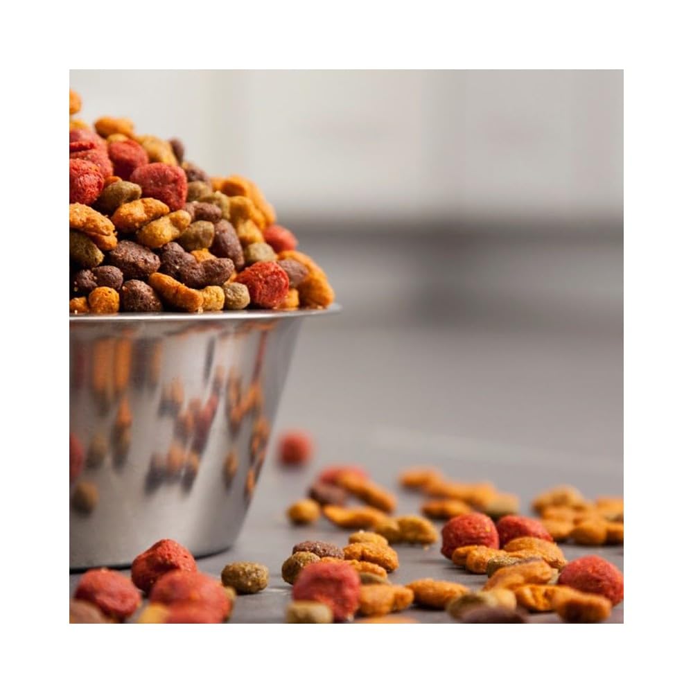 Croccantini Ideali per Gatti Gusto Pollo Monge Linea Gran Bonta' Confezione Da 400 Grammi