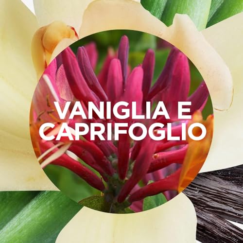 Airwick Active Fresh Deodorante per Ambienti, Ricarica per Diffusore Spray Automatico senza Gas alla fragranza Vaniglia e Caprifoglio, 228 ml (Confezione da 1)