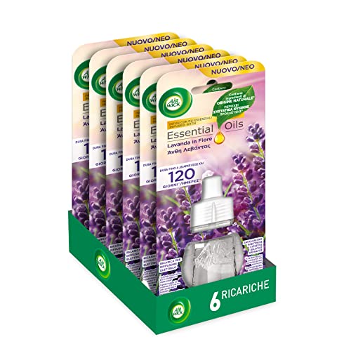 Airwick Ricariche per Diffusore Elettrico di Oli Essenziali, Confezione da 6 ricariche di Profumatore per Ambienti alla Fragranza di Lavanda, Profumatore per Ambienti Elettrico
