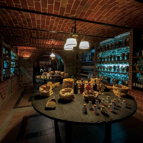 GAMONDI Bitter Liquore