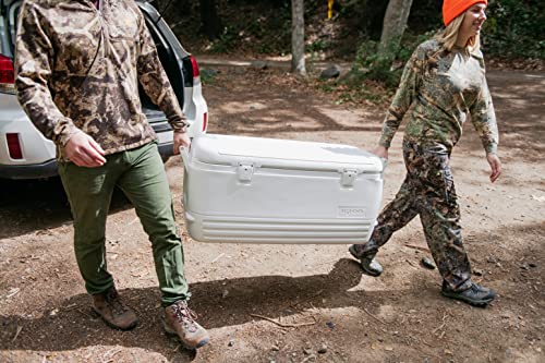 Famiglia di raffreddamento Polar Igloo
