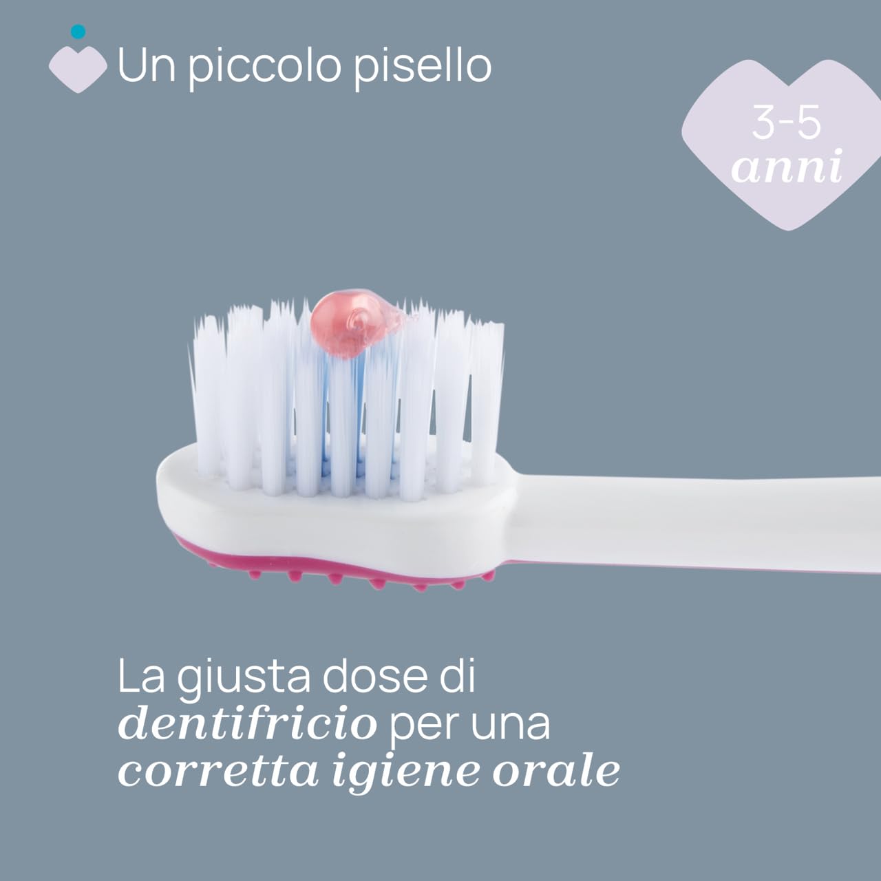 CHICCO | Spazzolino per i denti da latte. Adatto a bambini dai 3 ai 6 anni | Fucsia,Colorazione Femminile, Tema ippopotamo