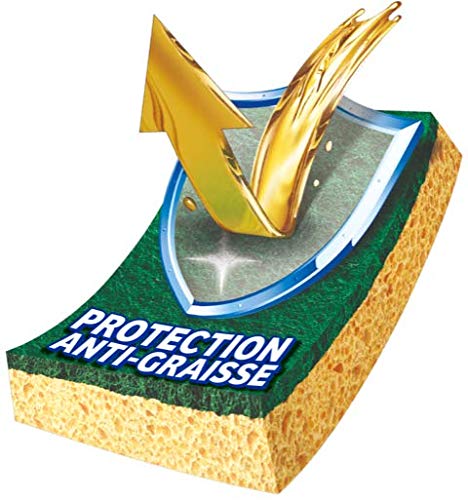 SPONTEX - Gratta-Spugna Stop-Graziosa - 12 confezioni da 2 spugne grattanti verdi anti-grasso - 24 spugne