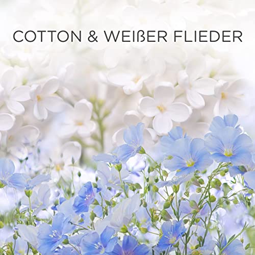 Airwick Diffusore Elettrico di Oli Essenziali