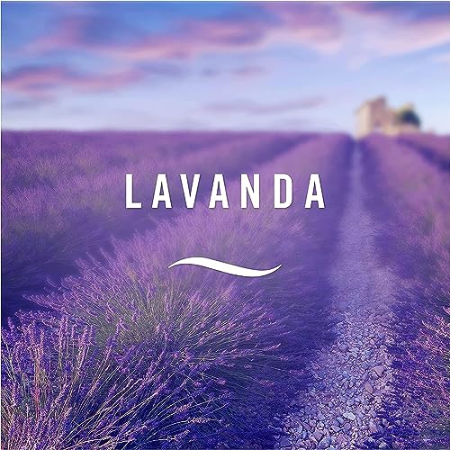 Ambi Pur Bagno, Profumatore Per Ambienti Ad Azione Continua Eliminazione E Prevenzione Degli Odori