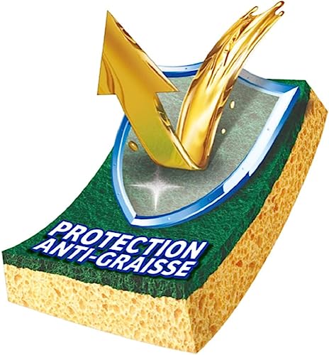 Spontex - Grattaspugna Stop-Grasso - 2 spugne raschianti verdi protezione antigrasso