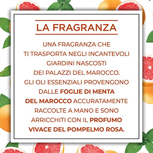 Airwick Botanica Ricariche per Diffusore Elettrico di Oli Essenziali