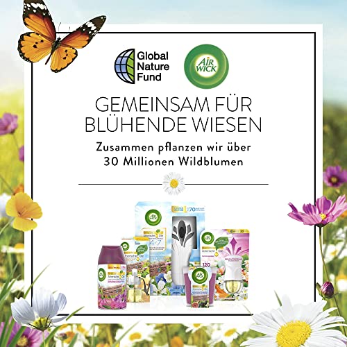 Airwick Diffusore Elettrico di Oli Essenziali