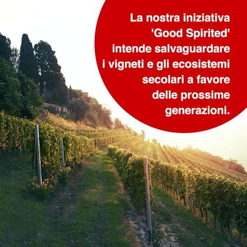 MARTINI Bianco Vermouth Aperitivo, 14,4% ABV, 100cl / 1L