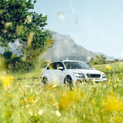 Bosch Automotive R5589