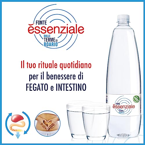 Fonte Essenziale Acqua Minerale Naturale - 6 x 1 L