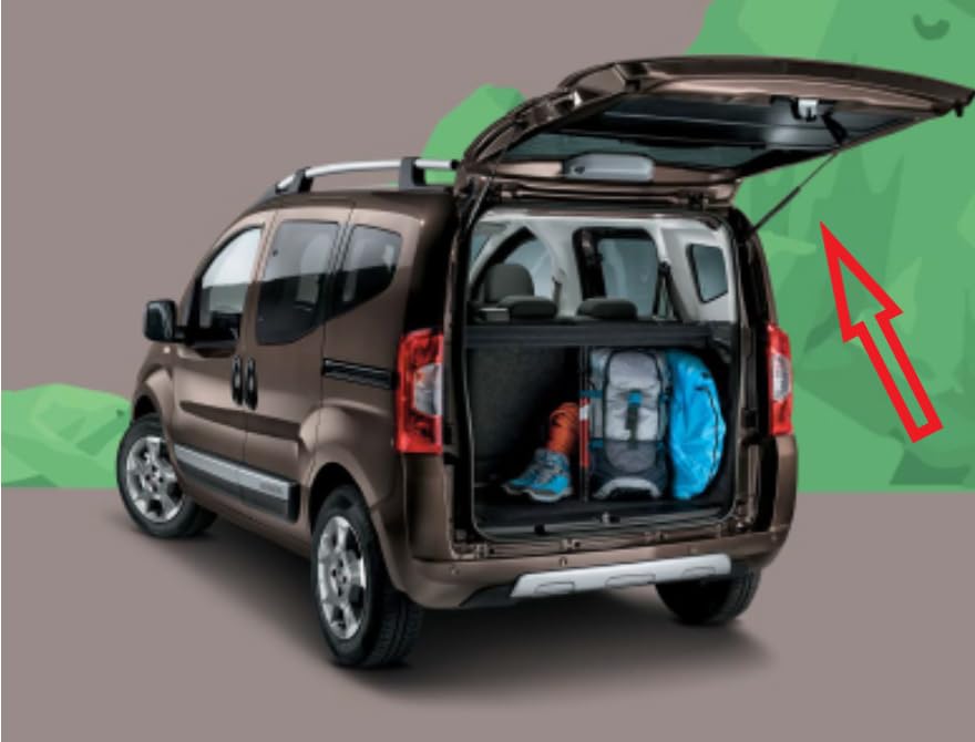 CG94 COPPIA MOLLA A GAS COMPATIBILE F!AT FIORINO - QUBO 2008 - NEMO - BIPPER (L=600 - S=213 - F=670)