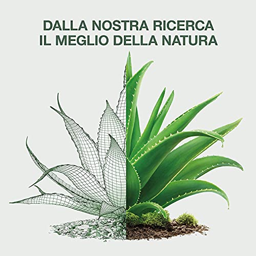 Omia - Fisio Shampoo Eco Bio con Aloe Vera del Salento, Adatto ad un Uso Frequente - Ideale per Capelli Secchi, Dona Luminosità al Capello, Dermatologicamente Testato - Flacone da 250 ml