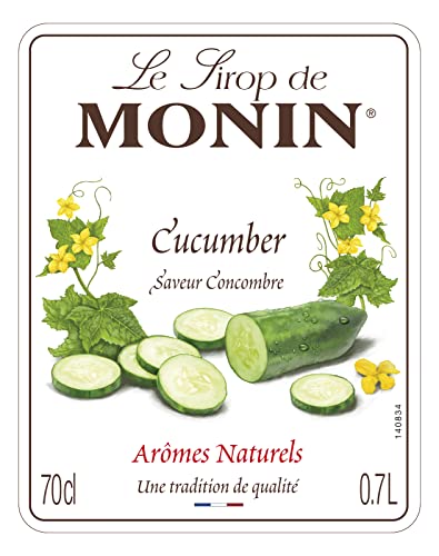 Monin MONIN Sciroppo Premium 700 ml