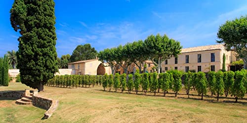 By.ott Cotes De Provence Vin Rose' Cl 75 Domaines Ott