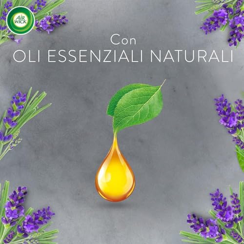 Airwick Ricariche per Diffusore di Oli Essenziali Armonia Istantanea, Confezione da 6 Ricariche per il Diffusore di Oli Essenziali Profumatore per Ambienti alla Fragranza Timo&Limone e Lavanda