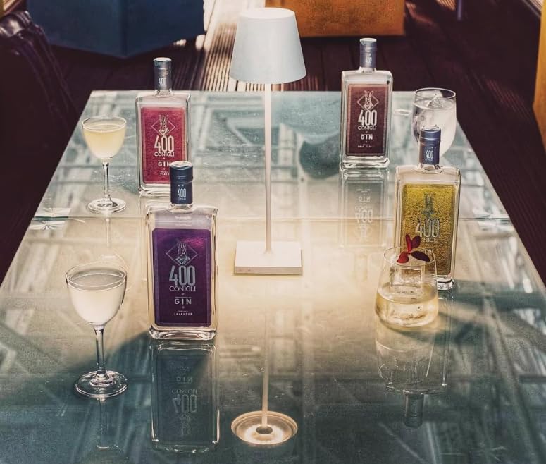 400 CONIGLI Gin Volume 1 Coffee, Gin monobotanico, lavorazione artigianale, distillato genuino, cocktail classici o moderni, adatto alla miscelazione, ginepro e caffè, morbido e persistente, 42% Vol.