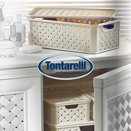 Tontarelli Arianna Cesta Biancheria con Coperchio, Plastica