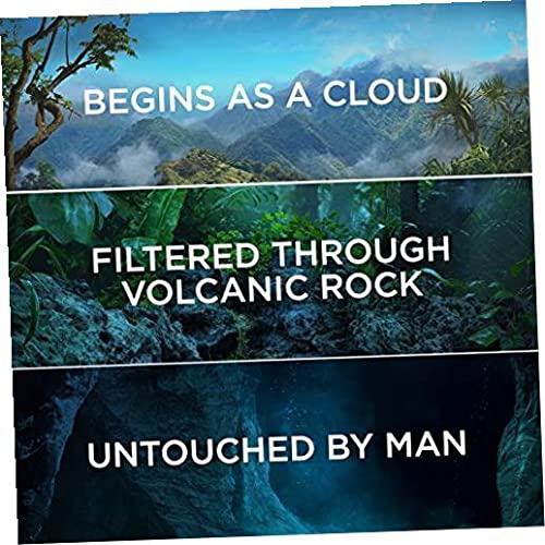 FIJI Artesiian Water 12 Packk, 33.8 Fl Once .2 Pack