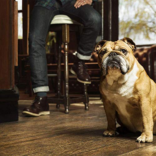 Bulldog Anti-Age Moisturiser - Crema Idratante Anti-Età - 100 ml