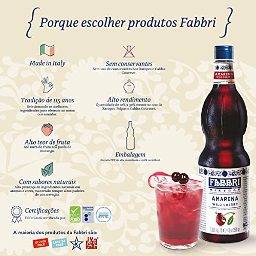Fabbri Sciroppo Mixybar Fiori e Bacche di Sambuco 1L