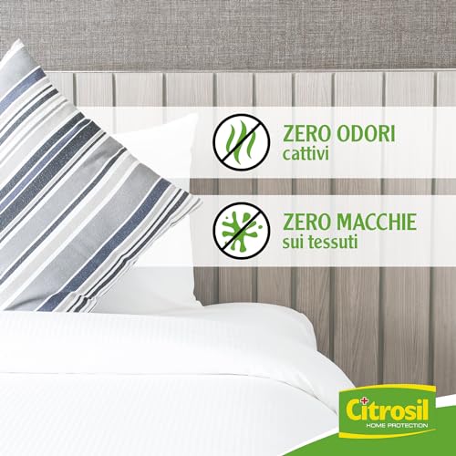Citrosil Disinfettante Spray, Azione Virucida Completa, Elimina Fino al 99,9% di Virus e Batteri, Essenza di Menta, 300 ml
