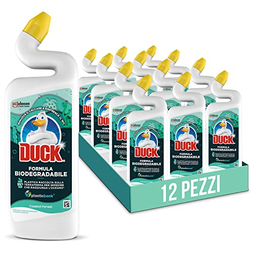 RXCASA  5000204242843