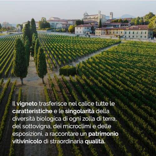 Bellavista Alma Assemblage Extra Brut – Franciacorta DOCG - 750 ml