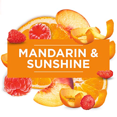 Glade (Brise) Automatic Spray Profumo per ambienti, con 1 Ricarica, Merry Berry & Bright (bacche rosse, vin brulé, bastoncini di cannella), 269 ml