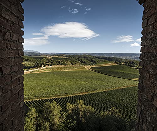 Castello della Sala Cervaro della Sala Umbria IGT, 750 ml