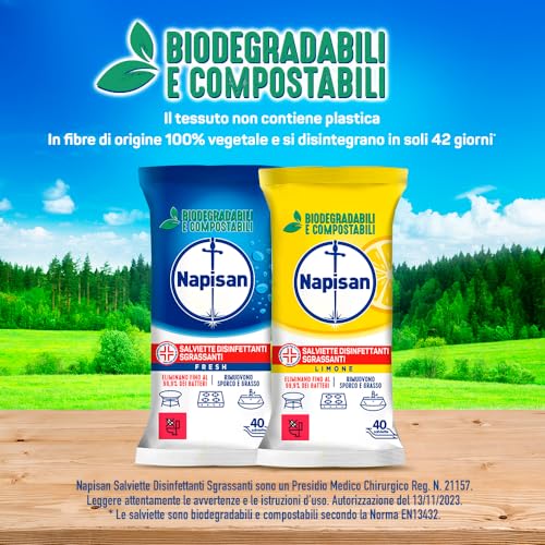 Napisan Salviette Igienizzanti Multisuperfici