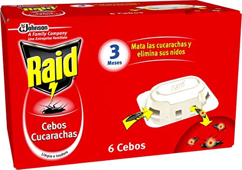 Raid Esca
