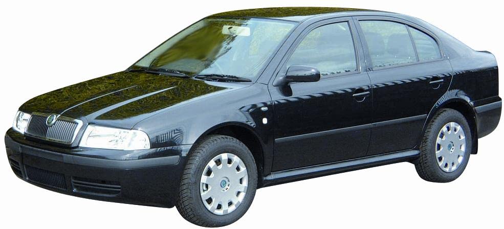 CG94 RETROVISORE Elettrico Termico Sinistra [Lato Guida] per Auto: Octavia - Calotta Nera - Cal. Lunga ASF.