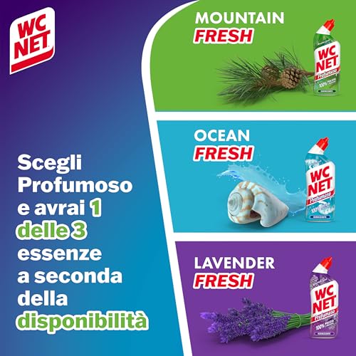 Wc Net - Profumoso Gel, Anticalcare e Igienizzante per WC, Tripacco Mono Fragranza a Seconda della Disponibilità, 3 Flaconi da 700 ml