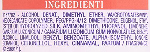 Garnier Cadonett Lacca, Fissaggio Normale - 250 ml