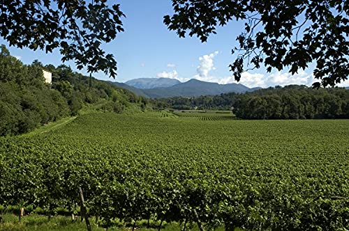 Tenuta Montenisa Marchese Antinori Blanc De Blancs Franciacorta DOCG