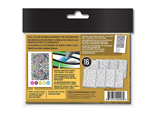 Camaleonte Colore Carte Arte Forniture - Immagini Specchio