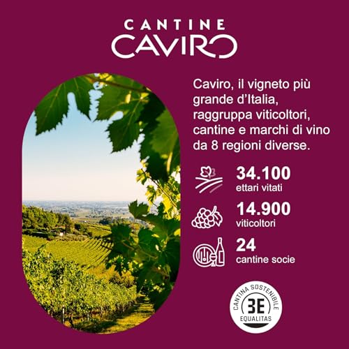 BotteBuona Vino Rosso Sangiovese Rubicone IGT, Vino Fresco con Sentori di Violetta e Frutti Rossi, 11.5% Vol, Confezione con 6 Bottiglie da 750 ml