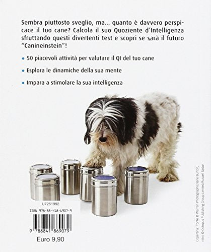 SCOPRI IL QI DEL TUO CANE