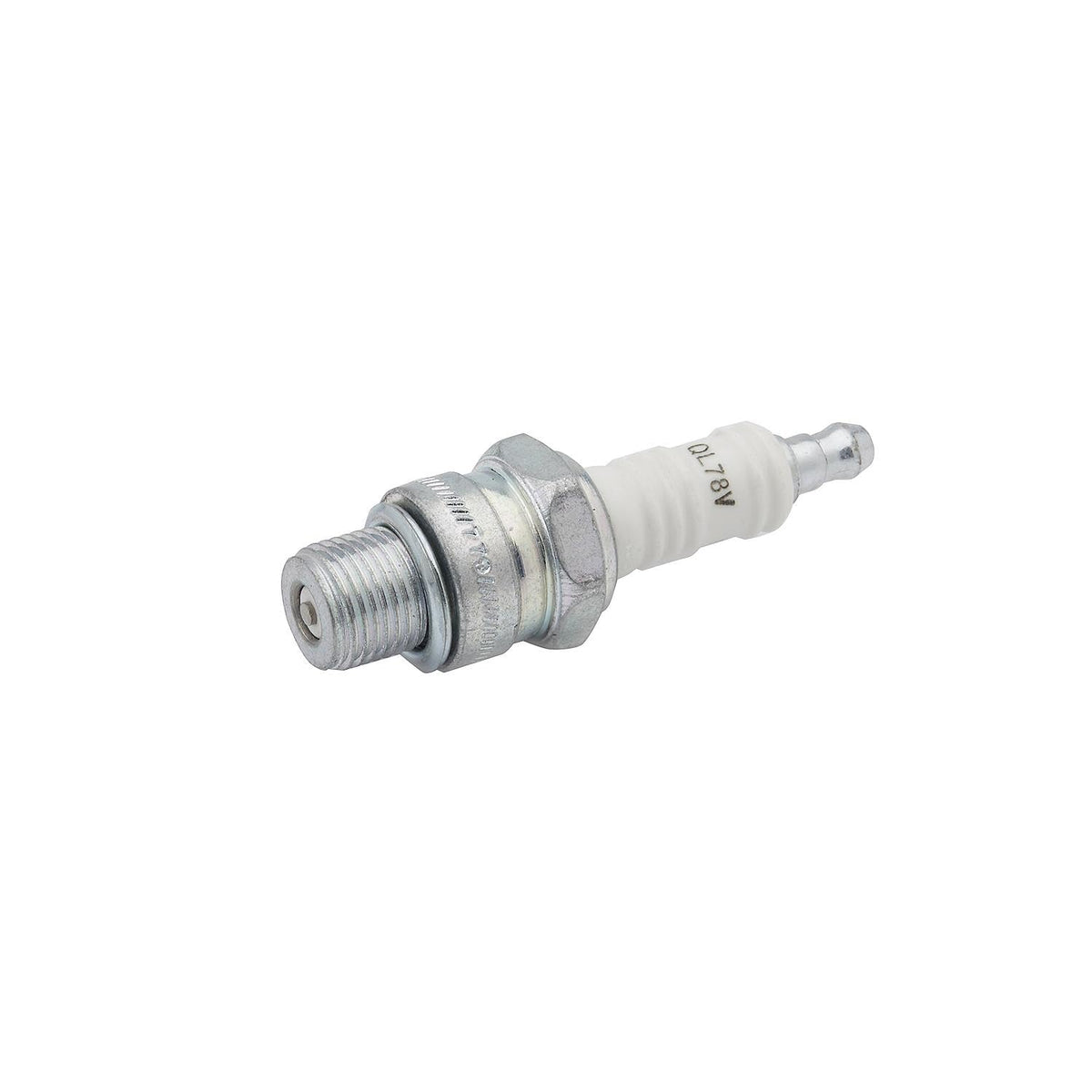Champion ql78 V110 Copper Plus Candeletta