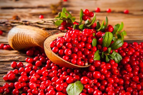 Confezione da 6 detergenti per il corpo Vidal Bagnodoccia, gel doccia Bacche di Goji e Mirtillo Rosso, schiuma doccia con bacche di Goji e mirtillo, 500 ml