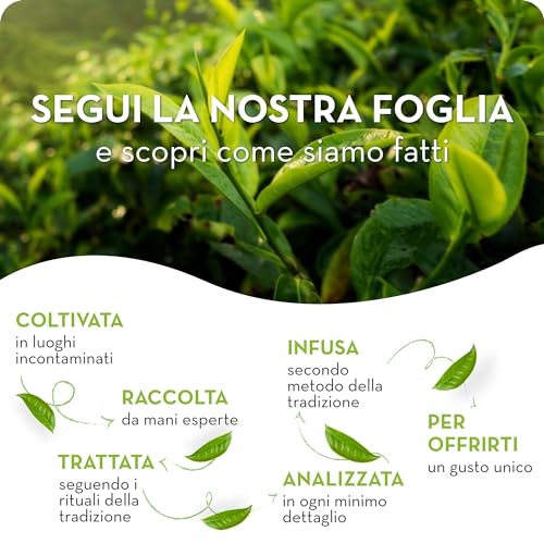 Estathé Zero Infuso, 12 Bottiglie da 0.4 lt