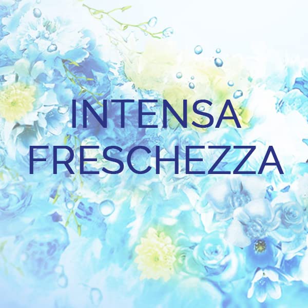 Vernel Lavanda Ammorbidente Lavatrice Concentrato Profumato, Intensa Freschezza e Morbidezza, 6 confezioni x 48 Lavaggi, totale 288 lavaggi