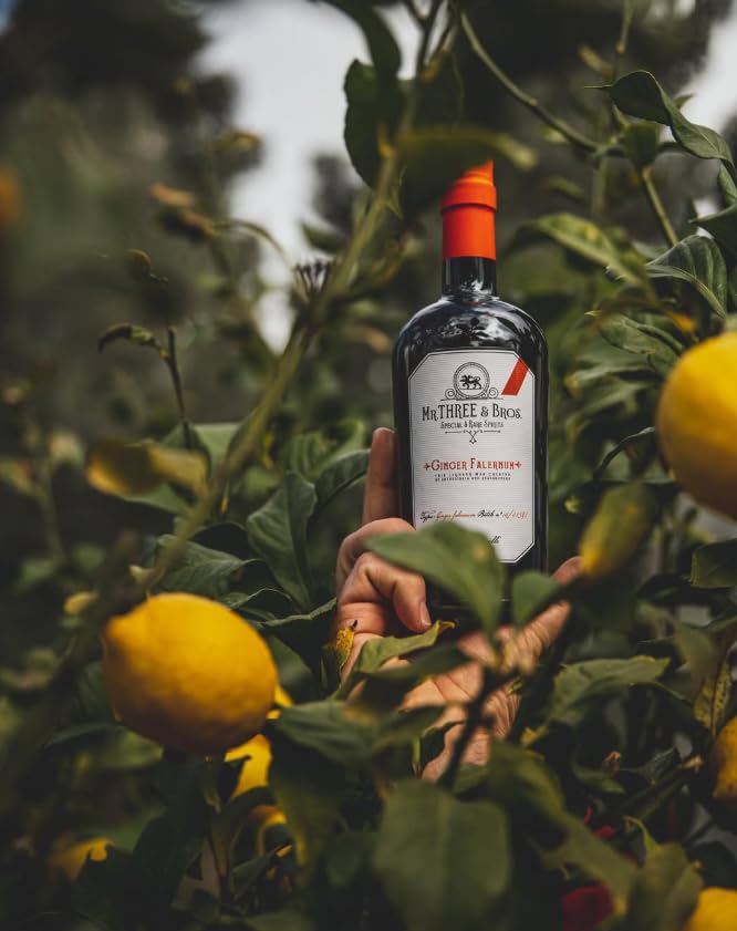 Mr Three & Bros Liquore - 500 ml