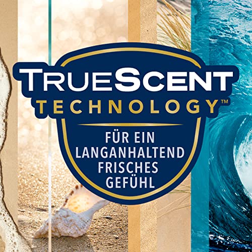 Glade (Brise) Ricarica automatica spray, profumo per ambiente, Ocean Adventure, confezione da 4 (4 x 269 ml)