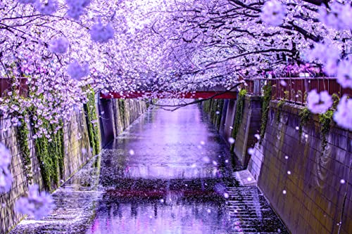 Yamazakura Blended Whisky 700 ml