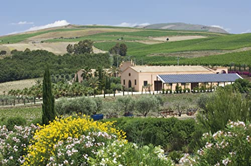 Donnafugata Sherazade Nero d'Avola Sicilia Doc - 750 ml