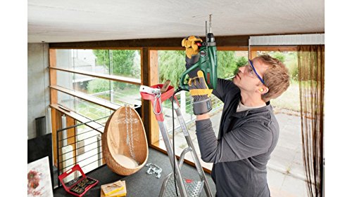 Bosch Home and Garden 06033A9300