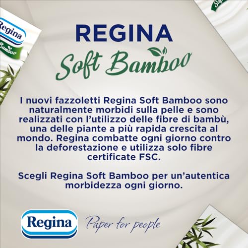 Regina Soft Bamboo Fazzoletti, 16 Confezioni da 10 Pacchetti di Fazzoletti a 4 Veli
