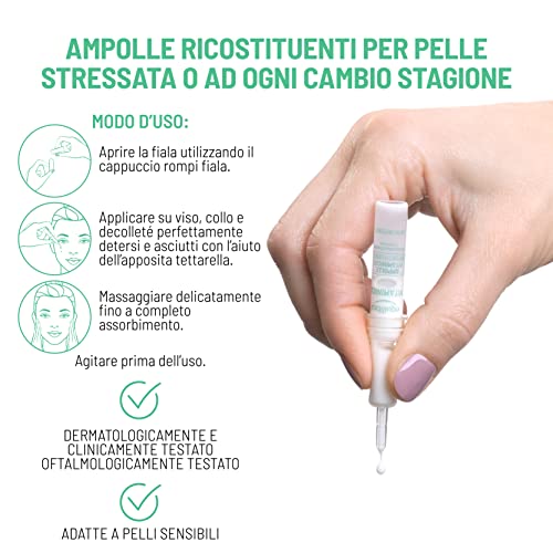 Equilibra Viso, Vitaminica, Ampolle Vitaminiche Ricostituenti, Siero Viso con Complesso Multivitaminico, Ceramidi Vegetali e Fitosfingosine, Azione Ricostituente, 7x2,5 ml